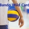 BANDO WILD-CARD  accesso Squadre Giovanili ai campionati regionali di serie - Stagione Sportiva 2024-2025